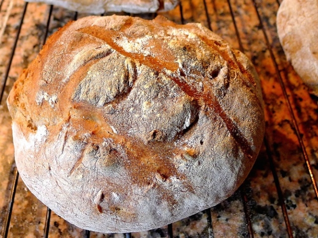 Arriba 35+ imagen receta de pan sin gluten y sin lactosa
